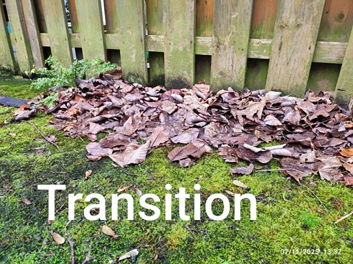 Transition