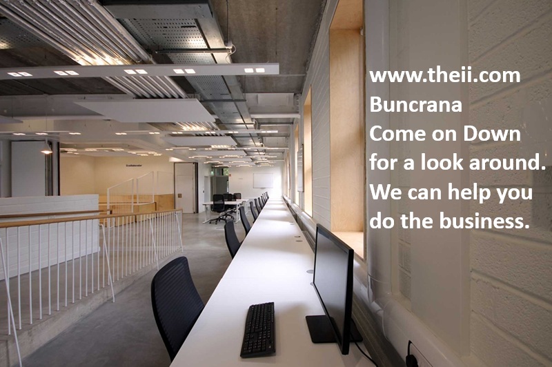 www.theii.com